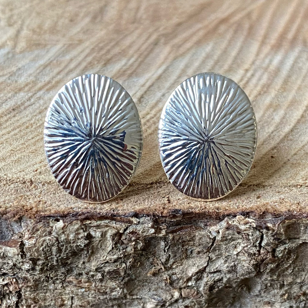 Aretes de Plata 0.925